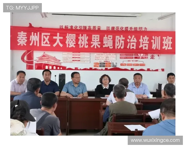 篮球装备选购指南：精选护膝推荐助你提升场上表现