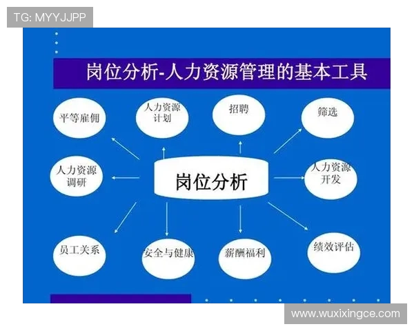 深圳排球队近期状态分析与表现评估探讨